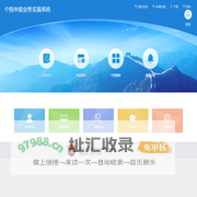 个税申报业务实操系统