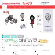 上海照迪自动化仪表有限公司