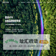 上海品牌策划公司-企业品牌设计-品牌营销策划咨询-蔚派VPA