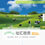 查维斯商贸（北京）有限公司