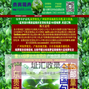 1AA绿萝|壹AA绿萝|1AA广州绿萝种植基地|花都1AA绿萝种植基地|广州1AA绿萝批发|花都1AA绿萝批发|南岗1AA绿萝种植基地|1AA绿萝|1AA绿萝批发|1AA绿萝种植基地|1AA花卉|1AA园艺。www.1aa.cn