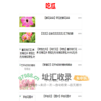 吃瓜