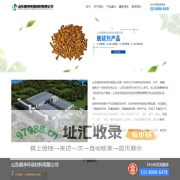 蜂窝活性炭厂家_vocs治理催化剂_蜂窝沸石分子筛-山东朗净环保