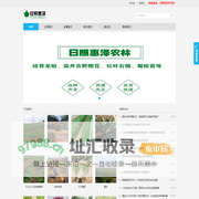 小龙柏,龙柏苗,龙柏床苗,嫁接小龙柏,龙柏树,龙柏球,龙柏工程苗 - 日照惠泽农林科技有限公司