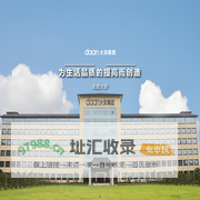 大安控股集团股份有限公司