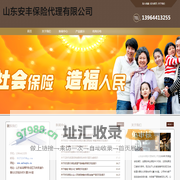 山东安丰保险代理有限公司 - 山东安丰保险代理有限公司