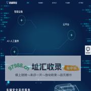 甚解风控