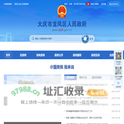龙凤区人民政府
