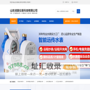 山东润奥仪表科技有限公司