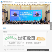 中国开发性金融促进会