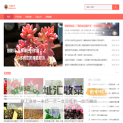 花意之坊_花卉养护乐园，绽放生活之美