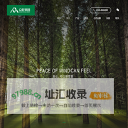首页-众旺集团
