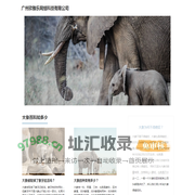 大象百科