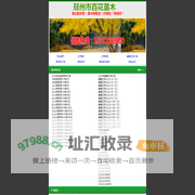 银杏树,银杏树价格,江苏银杏树,最新银杏树价格,邳州银杏树基地