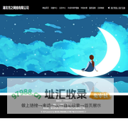 湖北雪之网络有限公司