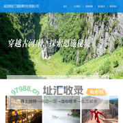 武汉阿拉丁国际旅行社有限公司