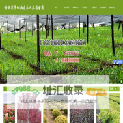 哈尔滨市松北区乐业立国苗圃 - 哈尔滨市松北区乐业立国苗圃