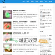岩棉翡网-翡翠大全