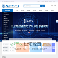 职业能力水平测评网