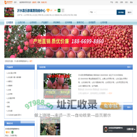 山东苹果价格,山东红富士苹果价格-沂水县乐群果蔬购销中心