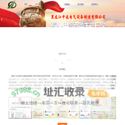 黑龙江中远电气设备制造有限公司