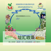 亚特金银花网 金银花新品种，国审良种金银花，金银花种质资源库