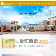 赣州富尔特电子股份有限公司 - 赣州富尔特电子股份有限公司