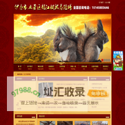 松鼠养殖基地-雪地松鼠养殖-魔王松鼠养殖-伊春市五营区龙江松鼠养殖场