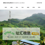 鹿寨县大乐岭茶业有限公司 | 桂妃红 | 柳眉春茶 | 大乐岭茶业