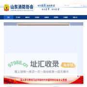 山东消防协会