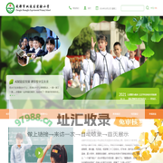 麦片小牛顿