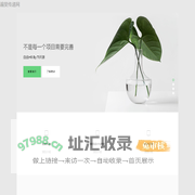 遍斐传递网