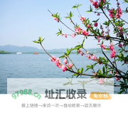 运动高手秀