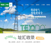 浙江特意电气有限公司