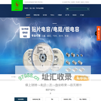 东莞市朗进电子有限公司