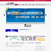 重庆天武企业管理咨询公司_企业管理咨询_企业战略规划_打造西部管理咨询第一品牌