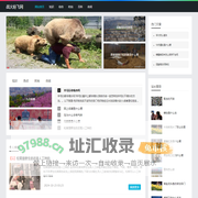 战火纷飞网