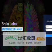 Brain Label