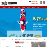 华鲤，日本锦鲤，纯种锦鲤，精品锦鲤批发，锦鲤护理热线：13360008867-观赏鱼锦鲤