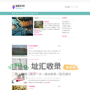 曳尾涂中网