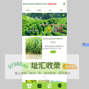 雅安市名山区超众苗木种植农民专业合作社