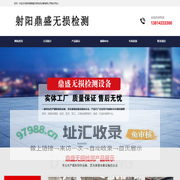 射阳县鼎盛无损检测设备有限公司