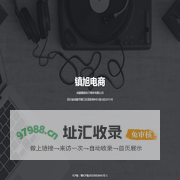 成都镇旭电子商务有限公司