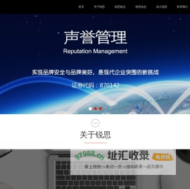 锐思爱特咨询