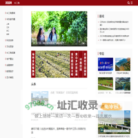 环球网长三角