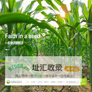 中种国际种子有限公司北京分公司