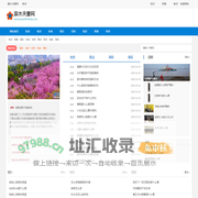 露水夫妻网