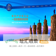 金鹅控股