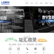 山东乐润信息技术有限公司官网