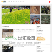 古调独弹网